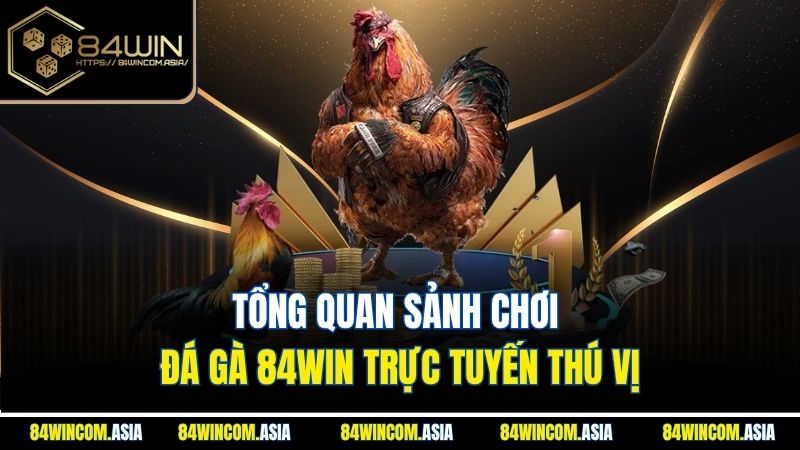 Tổng quan sảnh chơi đá gà 84WIN trực tuyến thú vị